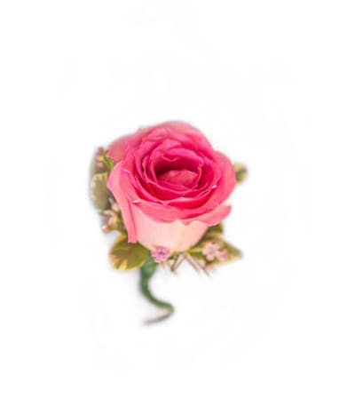 Pink Rose Boutonniere