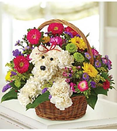EVERY DAY DOGGIE BASKET