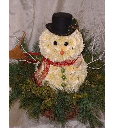 Franklin The Snowman