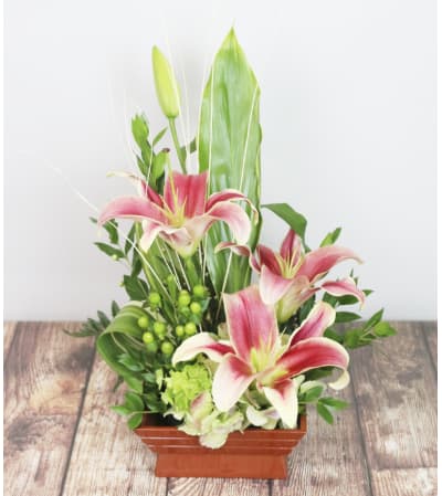 Lily Sensation
