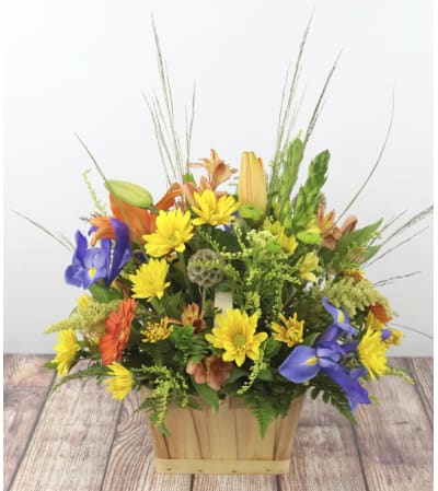 Fields of Blooms