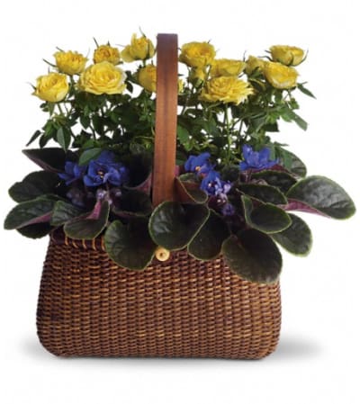 Garden To Go Basket