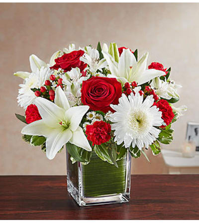 Healing Tears™ Red and White