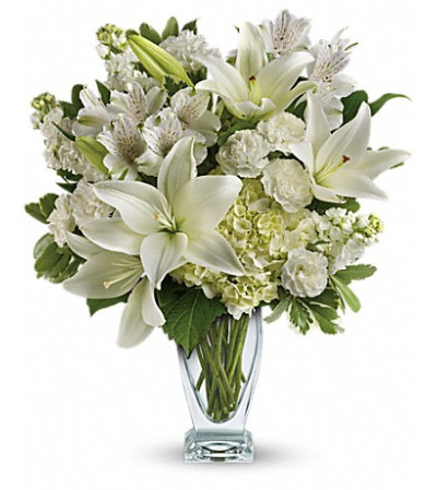 lovely white blooms lovely white blooms