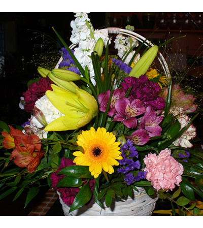 Sunny Basket Sunny Basket