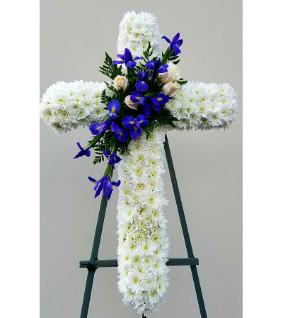 Blue Cross Blue Cross