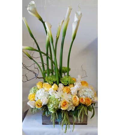 Dear Calla Dear Calla