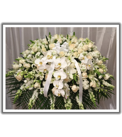 all white casket all white casket