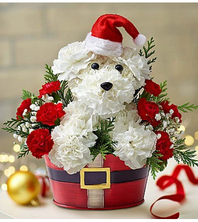 Santa Puppy Santa Puppy