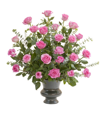 Pink Rose Supreme Pink Rose Supreme