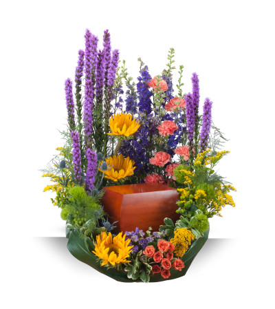 Celebration Garden Surround Celebration Garden Surround