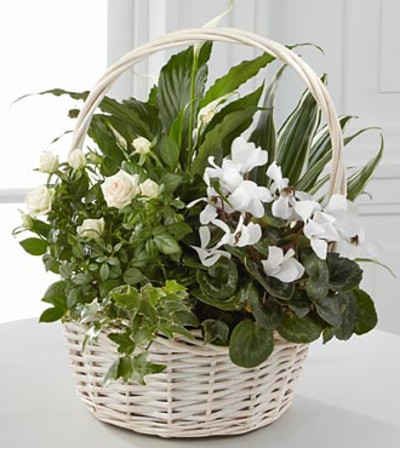 Green Planter Green Planter