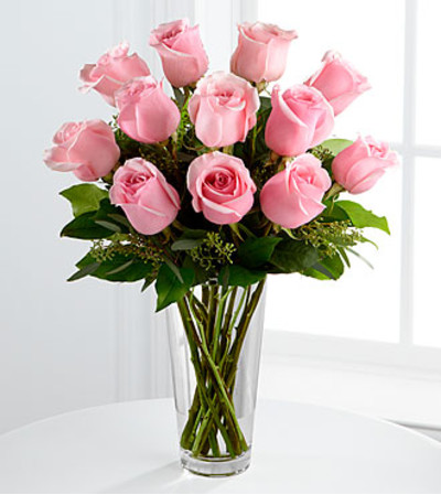 Pink Roses Pink Roses