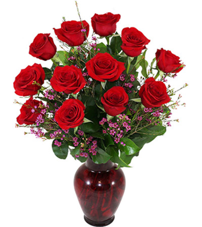 One Dozen Deluxe Roses One Dozen Deluxe Roses