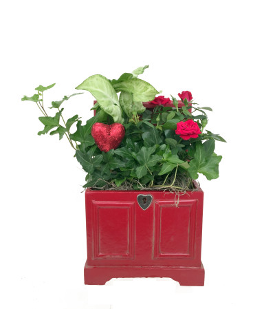 Locket Chest Dishgarden Locket Chest Dishgarden