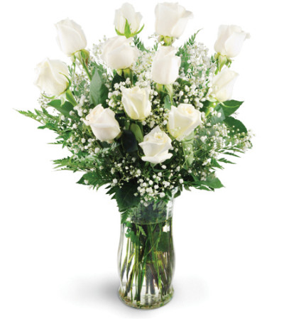 Dozen White Roses Dozen White Roses