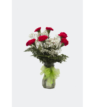 Classic Carnation Classic Carnation