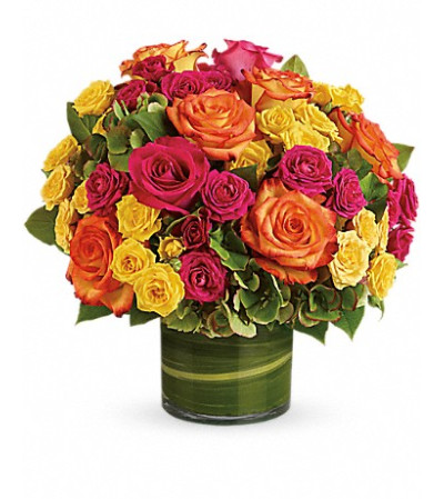 Blossom in Vogue Blossom in Vogue
