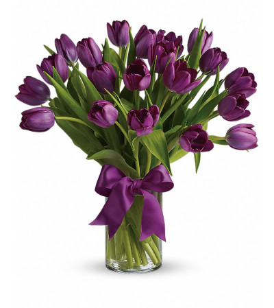 PASSIONATE PURPLE TULIPS PASSIONATE PURPLE TULIPS