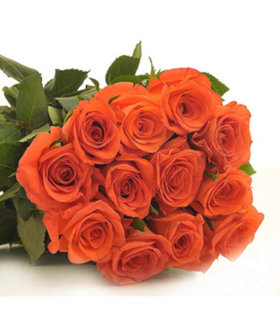 Perfectly wrapped Orange Roses Perfectly wrapped Orange Roses