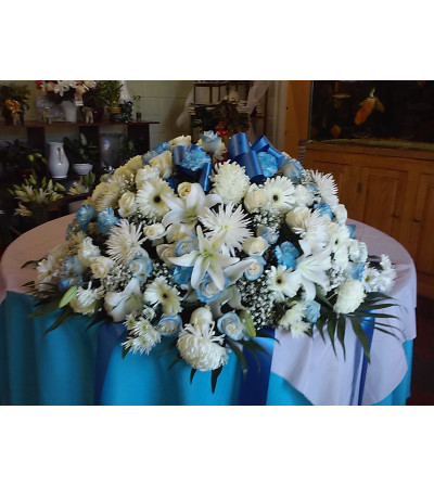 Casket Cover Casket Cover
