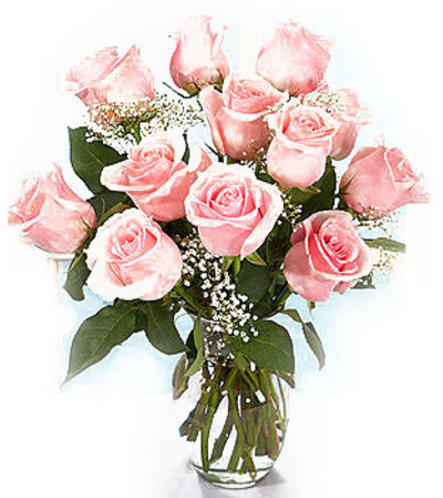 Classic Pink Roses Classic Pink Roses