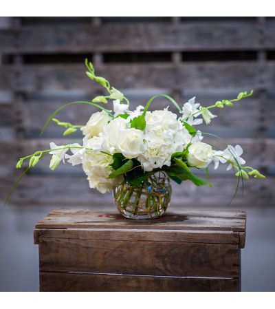 Elegant Whites Elegant Whites