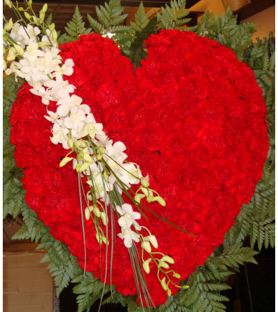 Solid Red Carnation Heart Solid Red Carnation Heart