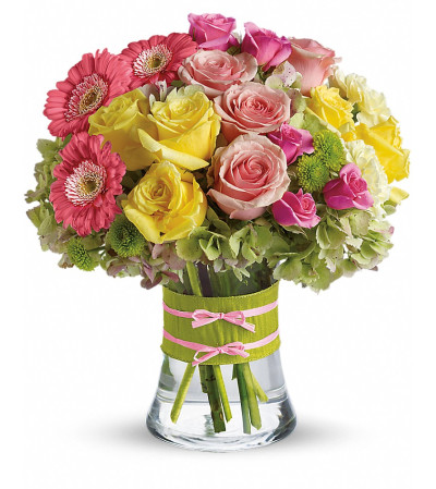 Fashionista Blooms Fashionista Blooms