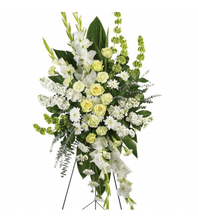 Classical Elegance Classical Elegance