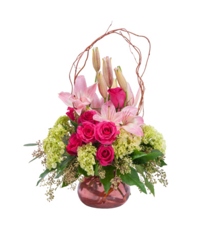 Oh, So Beautiful Blooms Oh, So Beautiful Blooms