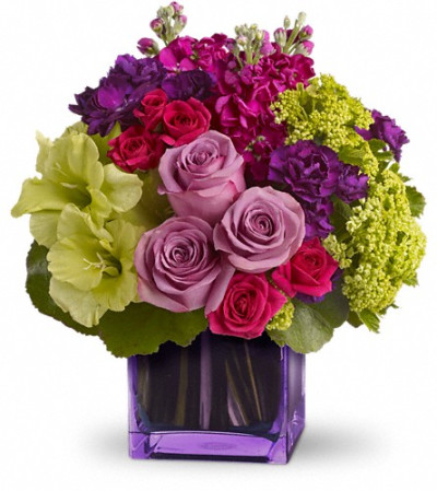 Violet Paradise Violet Paradise