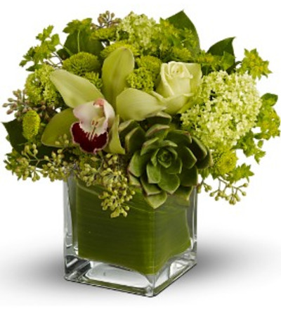 Rainforest Bouquet Rainforest Bouquet