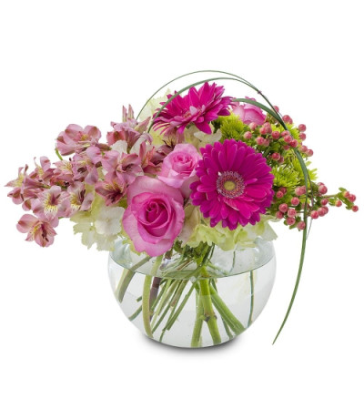 Grace Arrangement Grace Arrangement