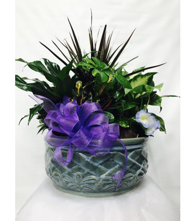 Large Spring Ceramic Dish Garden Large Spring Ceramic Dish Garden