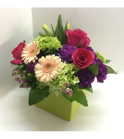 Pops of Pink by Rothe's Pops of Pink by Rothe's