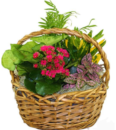 Garden Blooms Basket Garden Blooms Basket
