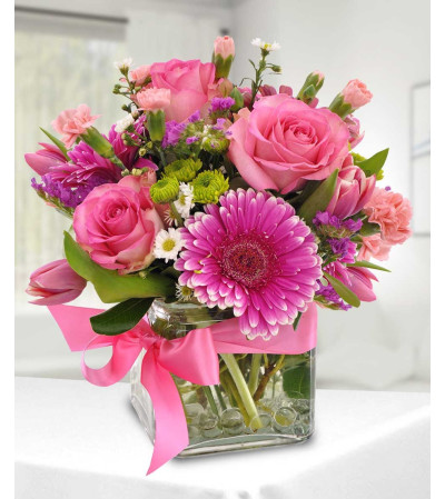 Have A Great Day Have A Great Day