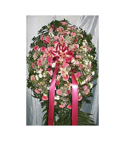 Pink Carnations & Pink Lillies Pink Carnations & Pink Lillies