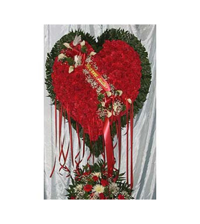 Bleeding Heart Red Carnations Bleeding Heart Red Carnations