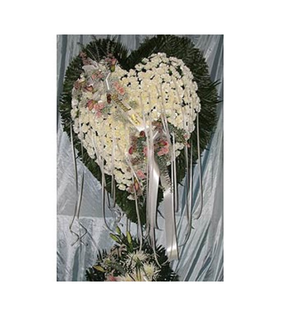 Bleeding Heart White Carnations Bleeding Heart White Carnations