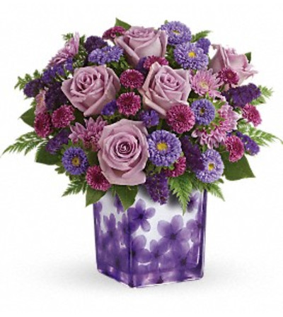 Happy Violets Happy Violets