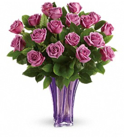 Lavender Splendor Lavender Splendor