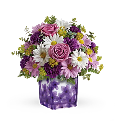 DANCINGVIOLETS DANCINGVIOLETS