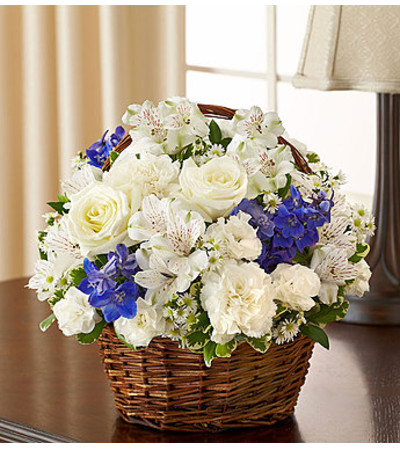 Blue & White Sympathy Blue & White Sympathy