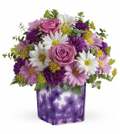 Teleflora's Dancing Violets Bouquet Teleflora's Dancing Violets Bouquet