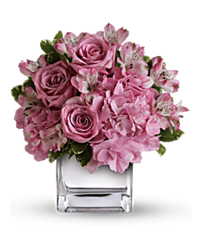 Sweetness In Pink Sweetness In Pink