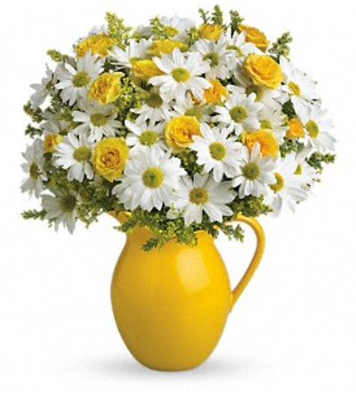 Sunny Day Pitcher of Daisies Sunny Day Pitcher of Daisies