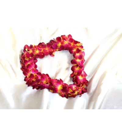 burgandya and yellow(usc color )orchid lei burgandya and yellow(usc color )orchid lei