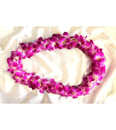 PURPLE LEI PURPLE LEI